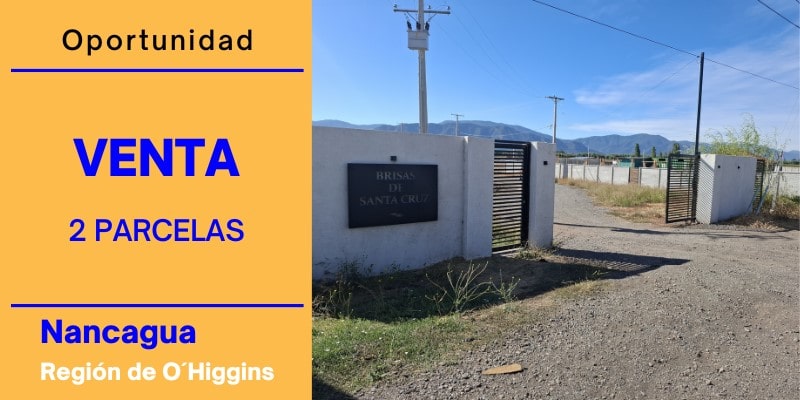 Promoción bienraizchile.com