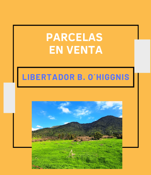 Promoción bienraizchile.com