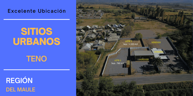 Promoción bienraizchile.com
