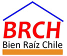 Logo Bien Raíz Chile