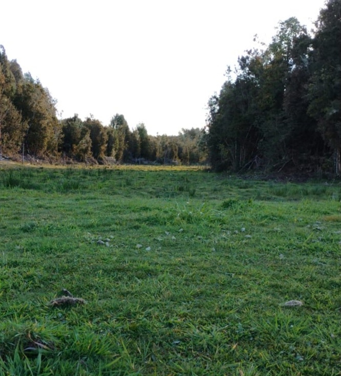 Terreno En Isla De Chiloé