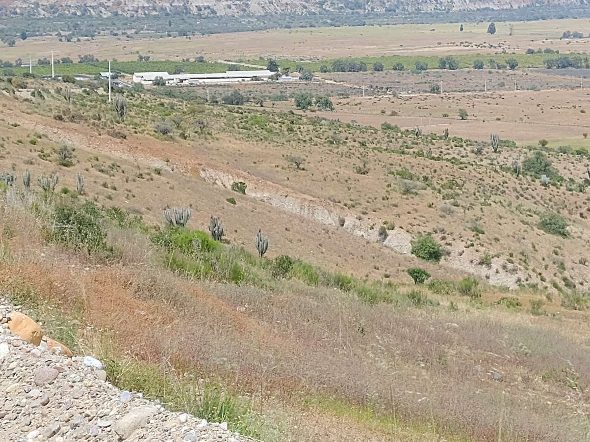 Se Vende Campo En El Sector De Algarrobo Comuna De Ovalle